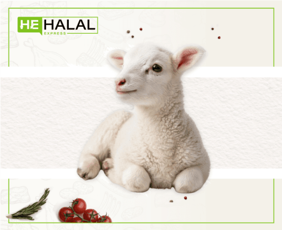 Whole Lamb (Baby)
