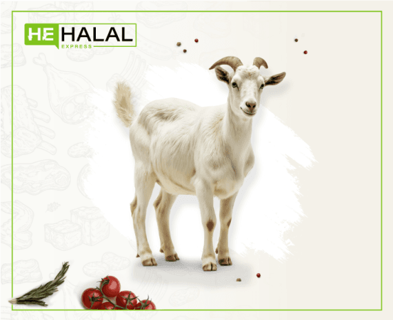 Whole Goat (Regular)