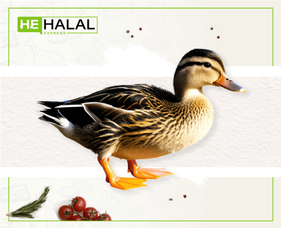 Fresh Tender Small Duck