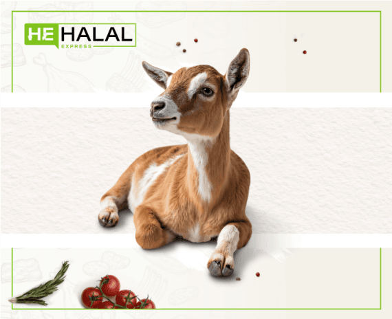 Whole Goat (Baby)