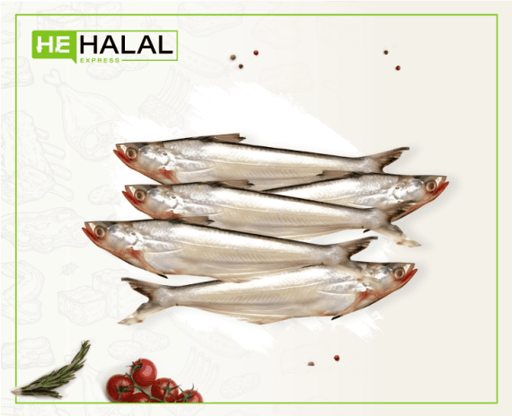 Bacha Fish ā Chunky & Rich Taste