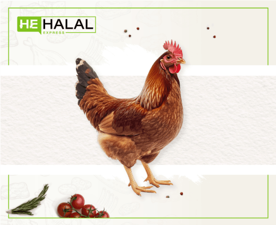 Fresh Farm Regular Chicken